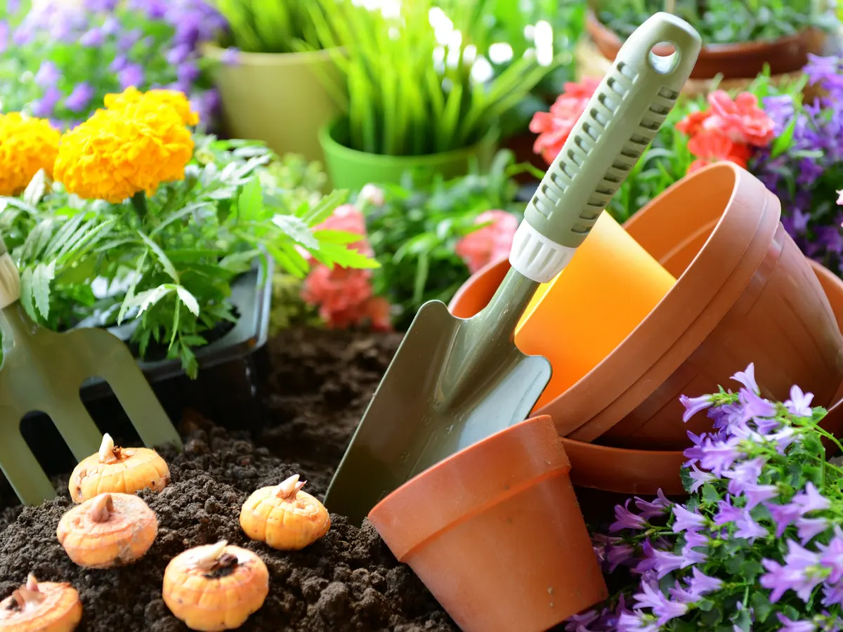 “Green Thumb Guide: Essential Tips for Beginner Gardeners”