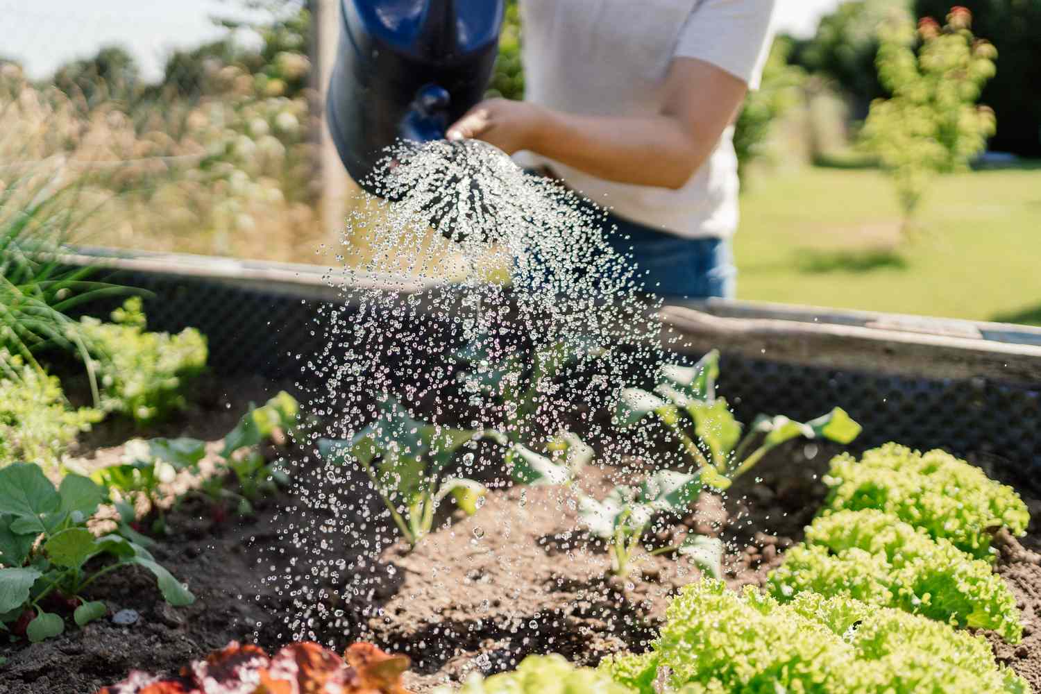 “Seasonal Gardening: Planning Your Garden for Year-Round Beauty”